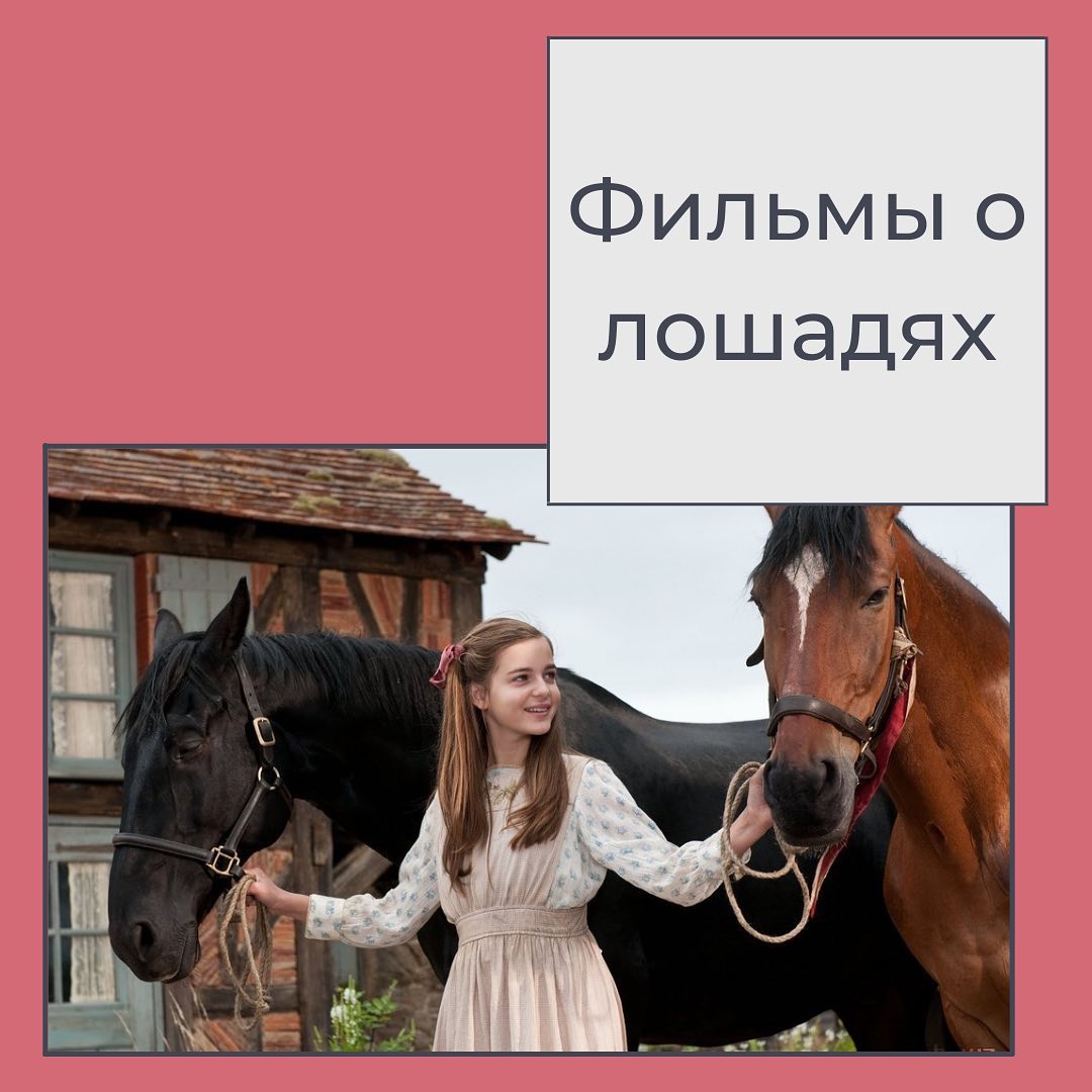 Фильмы о лошадях - Horse Family Shop