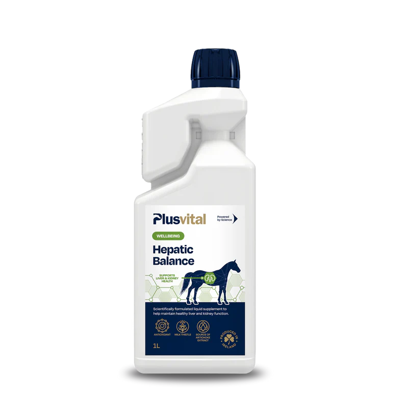 PV412-1BL_Hepatic_Balance_Packshot_1L_800x
