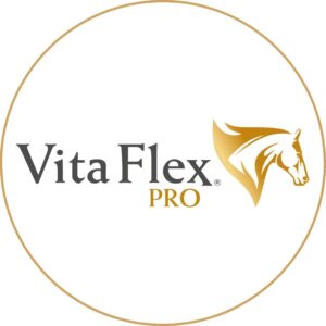 Vita Flex